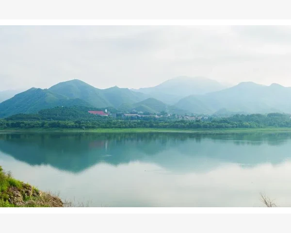 肾亏艾灸图的秘密解读：健康之源