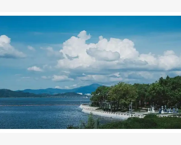 养阴清肺丸——传统中医秘方，呵护您的健康